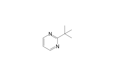 2-tert-Butylpyrimidine