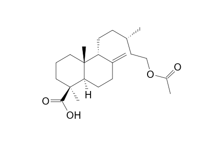 (13S)-15-Acetoxylabd-8(17)-en-19-oic acid