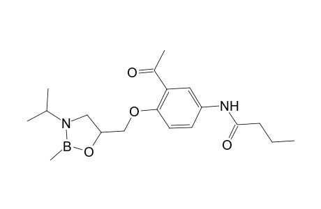Acebutolol methylboronate