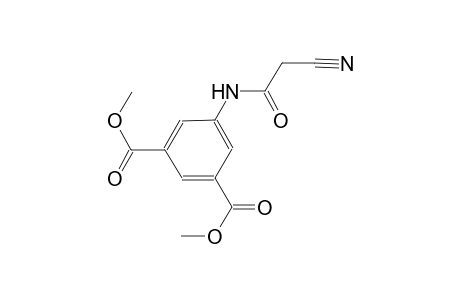 dimethyl 5-[(cyanoacetyl)amino]isophthalate
