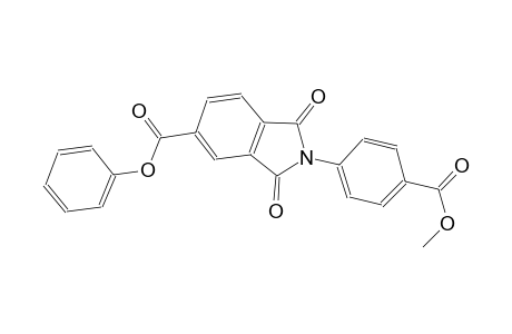 1H-isoindole-5-carboxylic acid, 2,3-dihydro-2-[4-(methoxycarbonyl)phenyl]-1,3-dioxo-, phenyl ester