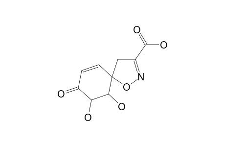 6,7-dihydroxy-8-keto-1-oxa-2-azaspiro[4.5]deca-2,9-diene-3-carboxylic acid