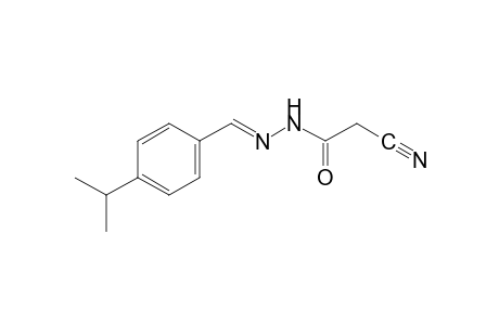 cyanoacetic acid, (p-isopropylbenzylidene)hydrazide