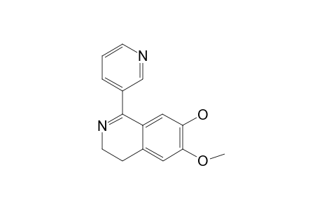 6-METHOXY-7-HYDROXY-1-(PYRIDINE-3-YL)-3,4-DIHYDROISOQUINOLINE