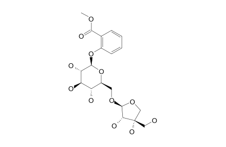 CANTHOSIDE-A;METHYL-2-HYDROXYBENZOATE-2-O-BETA-D-APIOFURANOSYL-(1->6)-O-BETA-D-GLUCOPYRANOSIDE