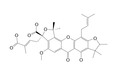 SCORTECHINONE_W;1-HYDROXY-7-METHOXY-2',2'-DIMETHYL-5'-CARBOXY-5'-(3-CARBOXYLBUT-2-ENYL)-FURANO-(3',4':5,6)-4-(3-METHYLBUTYL-2-ENYL)-4'',4'',5''-TRIMET