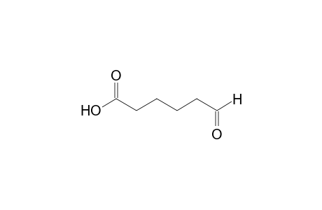6-Oxohexanoic acid