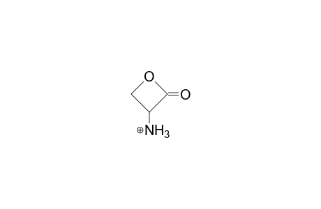 (S)-3-Amino-2-oxetanone cation