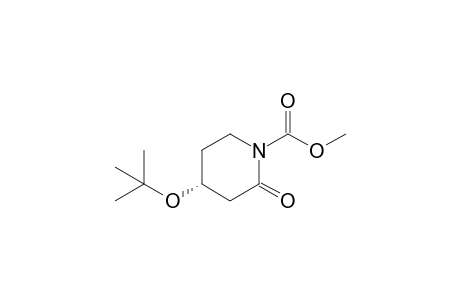 Methyl (R)-4-tert-Butoxy-2-oxopiperidine-1-carboxylate