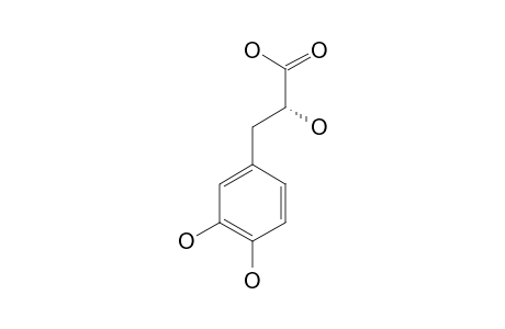 (R)-(+)-3-(3,4-DIHYDROXYPHENYL)-LACTIC-ACID;(DHPL)