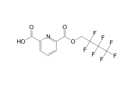 2,6-Pyridinedicarboxylic acid, 2,2,3,3,4,4,4-heptafluorobutyl ester