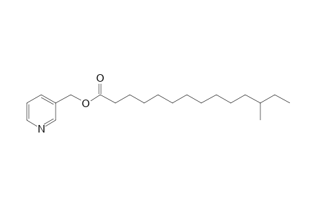 Picolinyl 12-methyltetradecanoate