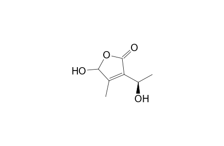 5-Hydroxy-3-[(1R)-1-hydroxyethyl]-4-methylfuran-2(5H)-one