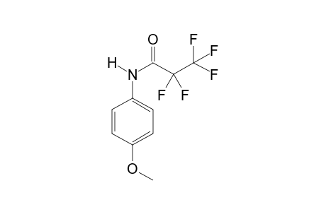 4-Methoxyaniline PFP