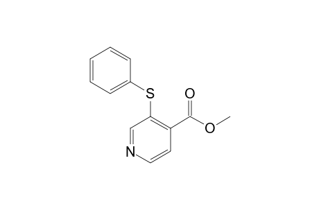3-(Phenylthio)-4-pyridinecarboxylic acid methyl ester