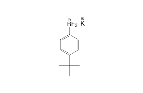 Potassium 4-tert-butylphenyltrifluoroborate