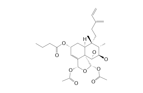 CASEANIGRESCEN_B