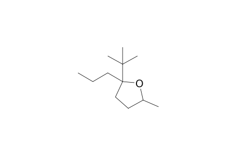 2-tert-Butyl-5-methyl-2-propyl-oxolane