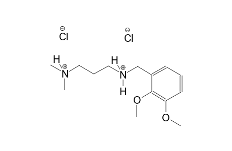 1,3-propanediaminium, N~1~-[(2,3-dimethoxyphenyl)methyl]-N~3~,N~3~-dimethyl-, dichloride