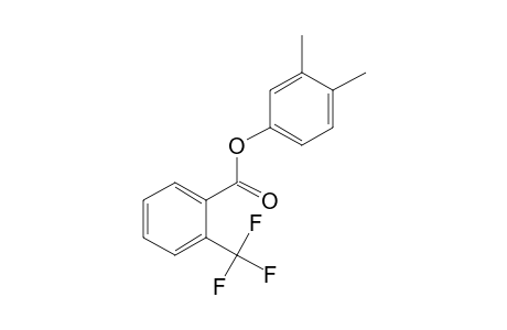 2-Trifluoromethylbenzoic acid, 3,4-dimethylphenyl ester