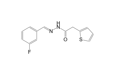 2-thiopheneacetic acid, 2-[(E)-(3-fluorophenyl)methylidene]hydrazide