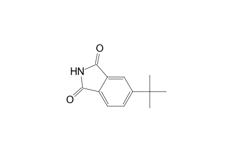 5-tert-Butyl-1H-isoindole-1,3(2H)-dione