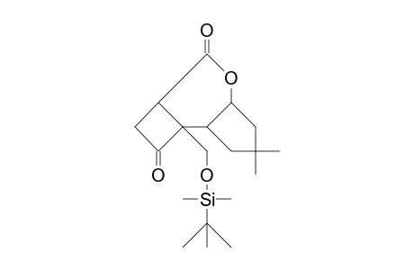 1-([T-Butyl-dimethyl]-siloxy-methyl)-4,4-dimethyl-7-oxa-tricyclo(7.2.0.0/2,6/)dodecan-8,12-dione