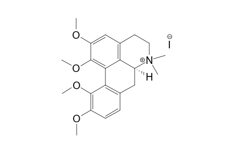 O,O'-dimethyl-Magnoflorin iodide