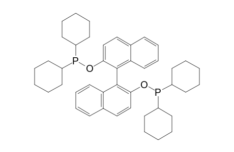 (R)-[1,1'-BINAPHTHALENE]-2,2'-DIYL-BIS-(DICYCLOHEXYLPHOSPHINITE)