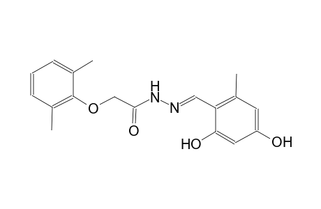 N'-[(E)-(2,4-dihydroxy-6-methylphenyl)methylidene]-2-(2,6-dimethylphenoxy)acetohydrazide