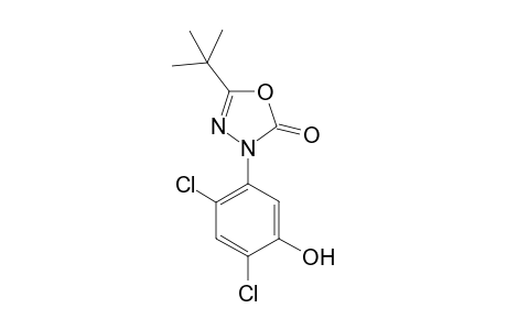 1,3,4-Oxadiazol-2(3H)-one, 3-(2,4-dichloro-5-hydroxyphenyl)-5-(1,1-dimethylethyl)-