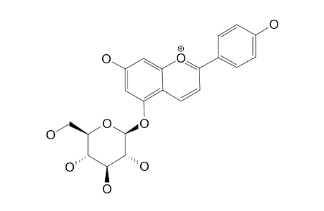 APIGENINIDIN-5-GLUCOSIDE