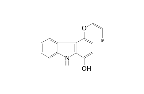 Carazolol-M (HO-) MS3_1