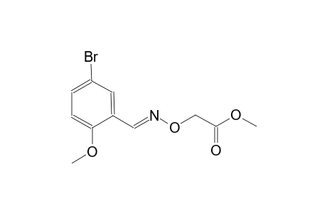 acetic acid, [[[(E)-(5-bromo-2-methoxyphenyl)methylidene]amino]oxy]-, methyl ester