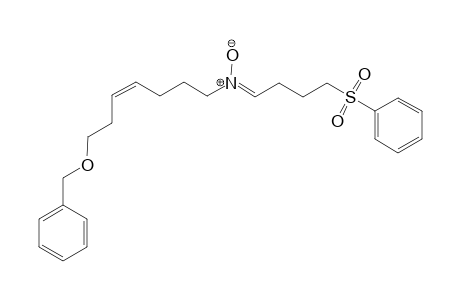 (Z)-1-Benzyloxy-7-(4-phenylsulfonylbutyldieneamino)-(Z)-hep-2-ene N-oxide