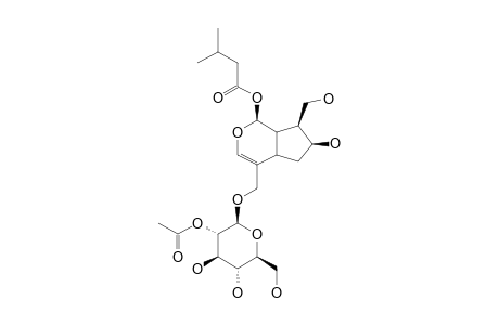 2'-O-ACETYL-PATRINOSIDE