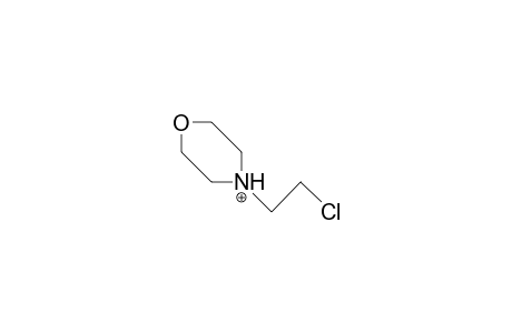 4-(2-Chloro-ethyl)-morpholinium cation
