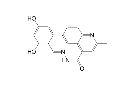 N'-[(E)-(2,4-dihydroxyphenyl)methylidene]-2-methyl-4-quinolinecarbohydrazide