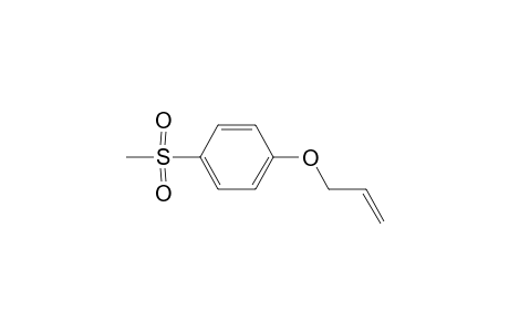 4-[(p-Methylsulfonyl)phenyl] 1-Allyl Ether