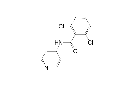 2,6-dichloro-N-(4-pyridinyl)benzamide
