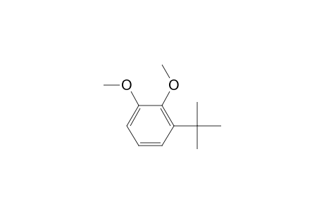 1-tert-Butyl-2,3-dimethoxy-benzene