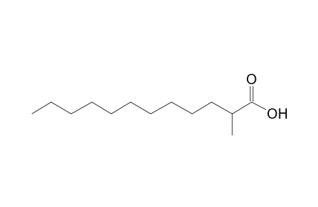 Dodecanoic acid, 2-methyl-