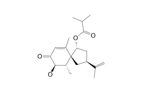 (3R,4S,5R,7S,9R)-3-HYDROXY-9-ISOBUTANOYLOXYSOLAVETIVONE