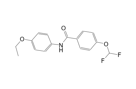 4-(difluoromethoxy)-N-(4-ethoxyphenyl)benzamide