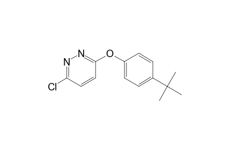 3-(4-tert-butylphenoxy)-6-chloropyridazine