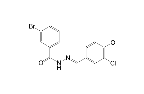 3-bromo-N'-[(E)-(3-chloro-4-methoxyphenyl)methylidene]benzohydrazide
