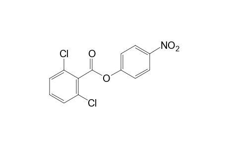 2,6-dichlorobenzoic acid, p-nitrophnenyl ester