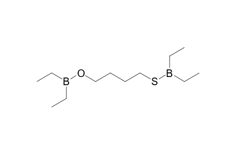 Butane, 1-(diethylborylthio)-4-(diethylboryloxy)-