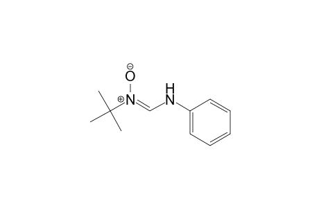 Methanimidamide, N'-(1,1-dimethylethyl)-N-phenyl-, N'-oxide, (Z)-