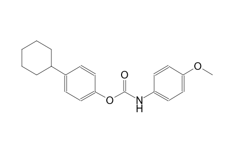 (4-Methoxyphenyl)carbamic acid 4-cyclohexylphenyl ester